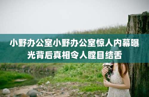 小野办公室小野办公室惊人内幕曝光背后真相令人瞠目结舌