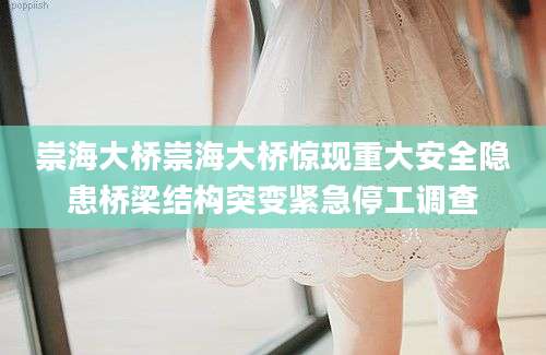 崇海大桥崇海大桥惊现重大安全隐患桥梁结构突变紧急停工调查