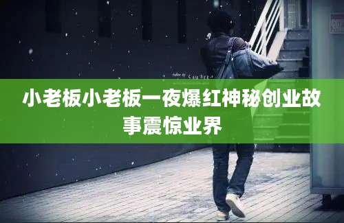 小老板小老板一夜爆红神秘创业故事震惊业界