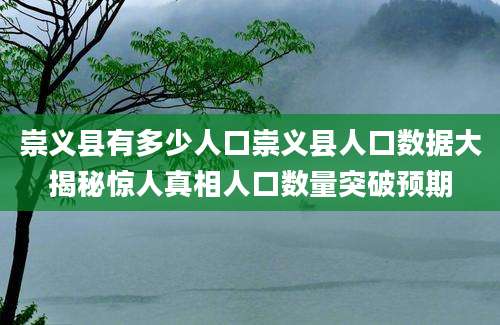 崇义县有多少人口崇义县人口数据大揭秘惊人真相人口数量突破预期