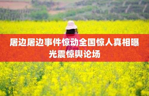 屠边屠边事件惊动全国惊人真相曝光震惊舆论场