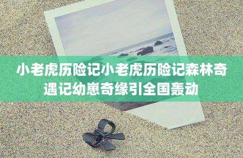小老虎历险记小老虎历险记森林奇遇记幼崽奇缘引全国轰动