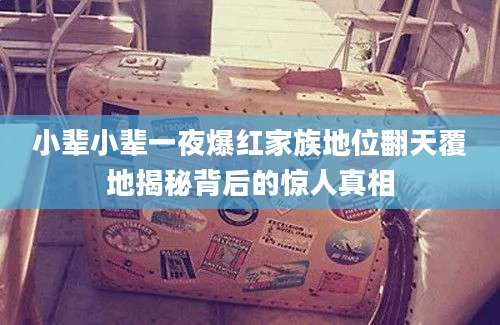 小辈小辈一夜爆红家族地位翻天覆地揭秘背后的惊人真相