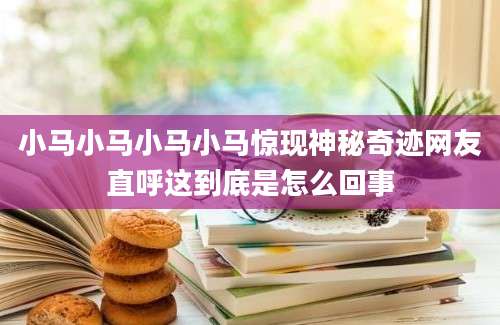 小马小马小马小马惊现神秘奇迹网友直呼这到底是怎么回事