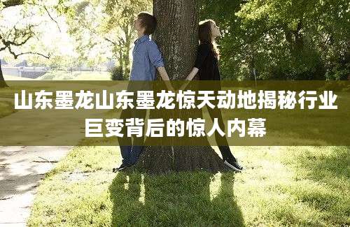 山东墨龙山东墨龙惊天动地揭秘行业巨变背后的惊人内幕