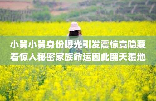 小舅小舅身份曝光引发震惊竟隐藏着惊人秘密家族命运因此翻天覆地