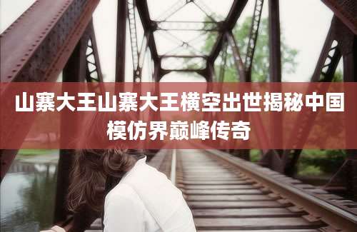 山寨大王山寨大王横空出世揭秘中国模仿界巅峰传奇