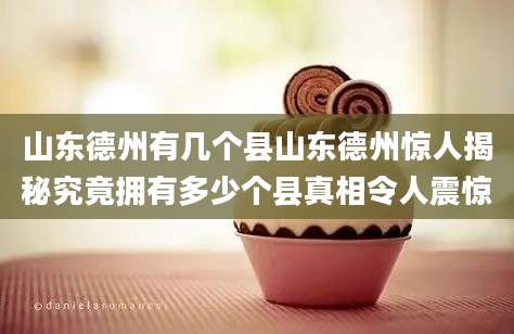 山东德州有几个县山东德州惊人揭秘究竟拥有多少个县真相令人震惊