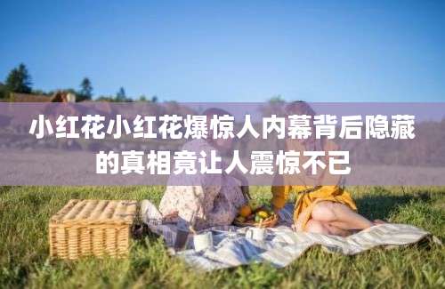 小红花小红花爆惊人内幕背后隐藏的真相竟让人震惊不已