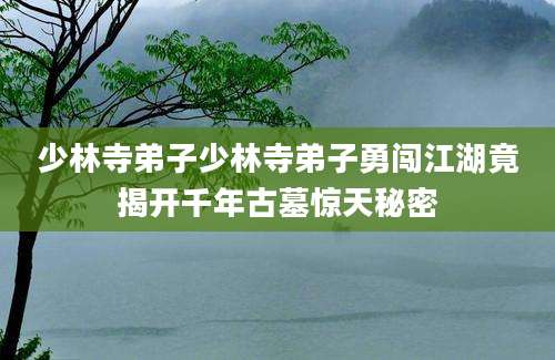 少林寺弟子少林寺弟子勇闯江湖竟揭开千年古墓惊天秘密
