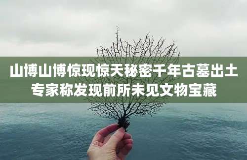 山博山博惊现惊天秘密千年古墓出土专家称发现前所未见文物宝藏