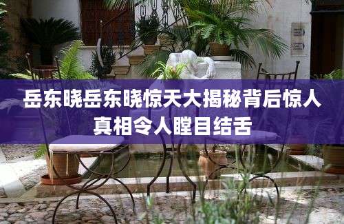 岳东晓岳东晓惊天大揭秘背后惊人真相令人瞠目结舌