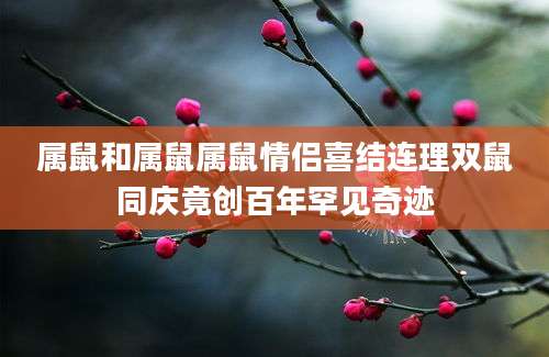 属鼠和属鼠属鼠情侣喜结连理双鼠同庆竟创百年罕见奇迹