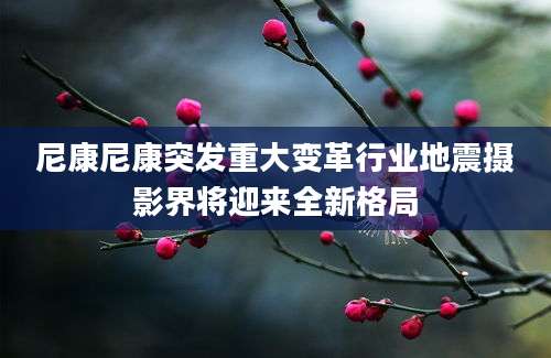 尼康尼康突发重大变革行业地震摄影界将迎来全新格局
