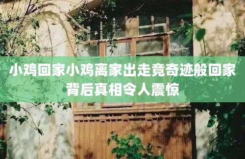 小鸡回家小鸡离家出走竟奇迹般回家背后真相令人震惊