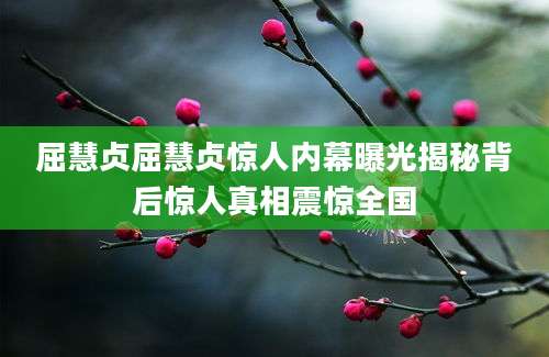 屈慧贞屈慧贞惊人内幕曝光揭秘背后惊人真相震惊全国