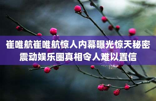 崔唯航崔唯航惊人内幕曝光惊天秘密震动娱乐圈真相令人难以置信
