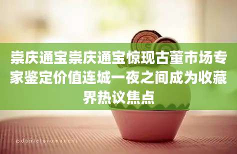 崇庆通宝崇庆通宝惊现古董市场专家鉴定价值连城一夜之间成为收藏界热议焦点