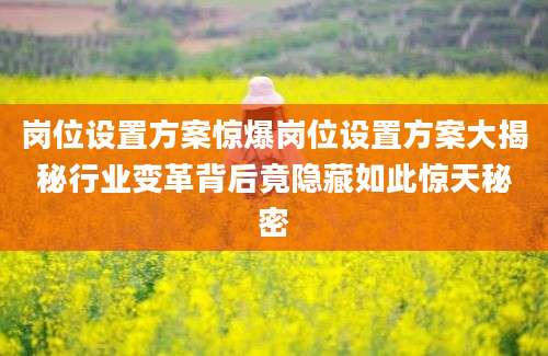 岗位设置方案惊爆岗位设置方案大揭秘行业变革背后竟隐藏如此惊天秘密