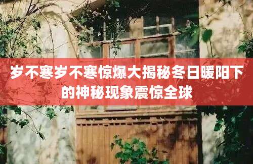 岁不寒岁不寒惊爆大揭秘冬日暖阳下的神秘现象震惊全球
