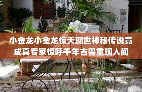 小金龙小金龙惊天现世神秘传说竟成真专家惊呼千年古兽重现人间