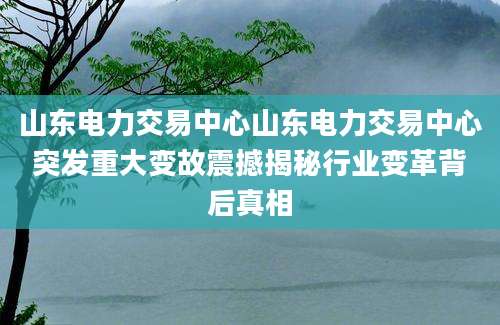 山东电力交易中心山东电力交易中心突发重大变故震撼揭秘行业变革背后真相