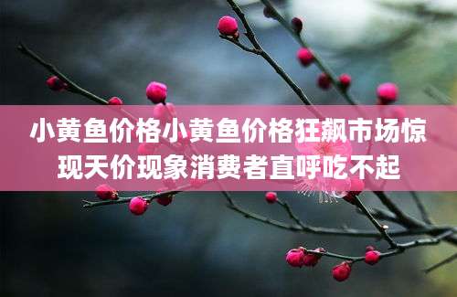 小黄鱼价格小黄鱼价格狂飙市场惊现天价现象消费者直呼吃不起