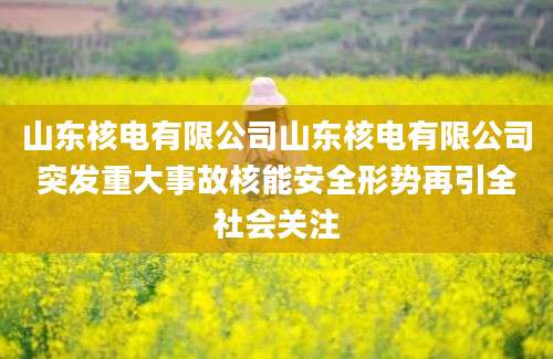 山东核电有限公司山东核电有限公司突发重大事故核能安全形势再引全社会关注