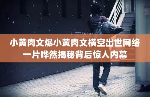 小黄肉文爆小黄肉文横空出世网络一片哗然揭秘背后惊人内幕