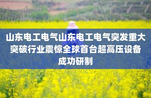 山东电工电气山东电工电气突发重大突破行业震惊全球首台超高压设备成功研制