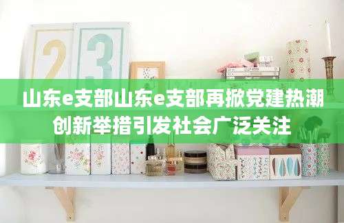 山东e支部山东e支部再掀党建热潮创新举措引发社会广泛关注