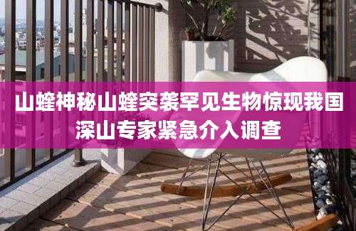 山蝰神秘山蝰突袭罕见生物惊现我国深山专家紧急介入调查