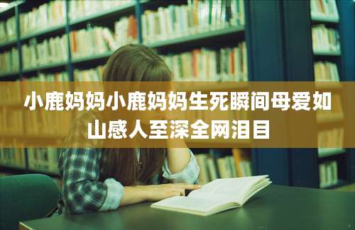小鹿妈妈小鹿妈妈生死瞬间母爱如山感人至深全网泪目