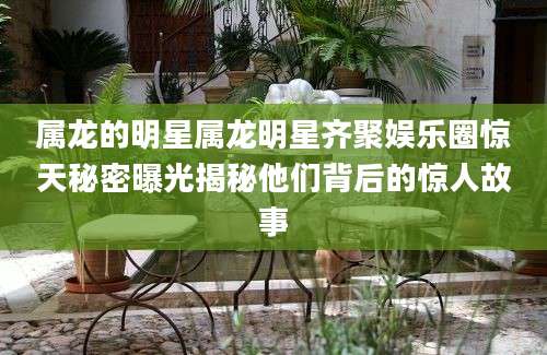 属龙的明星属龙明星齐聚娱乐圈惊天秘密曝光揭秘他们背后的惊人故事