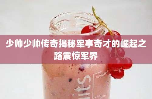 少帅少帅传奇揭秘军事奇才的崛起之路震惊军界