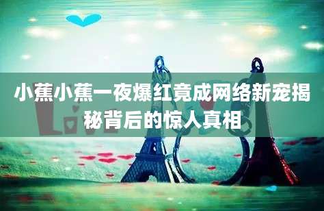 小蕉小蕉一夜爆红竟成网络新宠揭秘背后的惊人真相