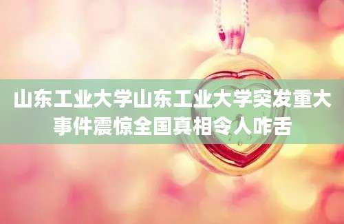 山东工业大学山东工业大学突发重大事件震惊全国真相令人咋舌