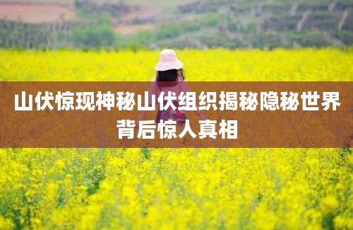 山伏惊现神秘山伏组织揭秘隐秘世界背后惊人真相