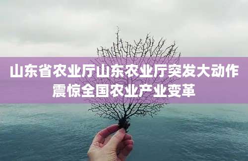 山东省农业厅山东农业厅突发大动作震惊全国农业产业变革