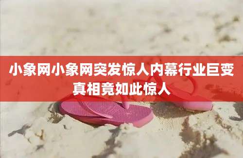 小象网小象网突发惊人内幕行业巨变真相竟如此惊人