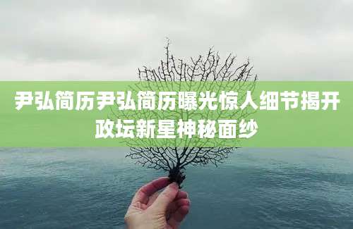 尹弘简历尹弘简历曝光惊人细节揭开政坛新星神秘面纱