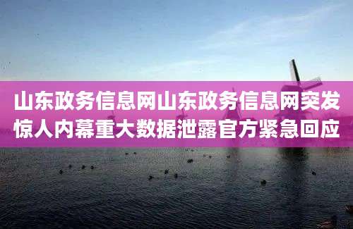 山东政务信息网山东政务信息网突发惊人内幕重大数据泄露官方紧急回应