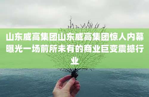 山东威高集团山东威高集团惊人内幕曝光一场前所未有的商业巨变震撼行业