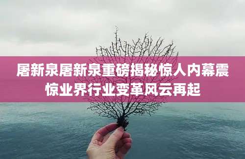 屠新泉屠新泉重磅揭秘惊人内幕震惊业界行业变革风云再起