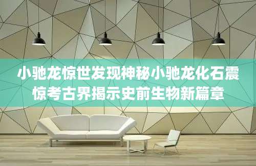 小驰龙惊世发现神秘小驰龙化石震惊考古界揭示史前生物新篇章