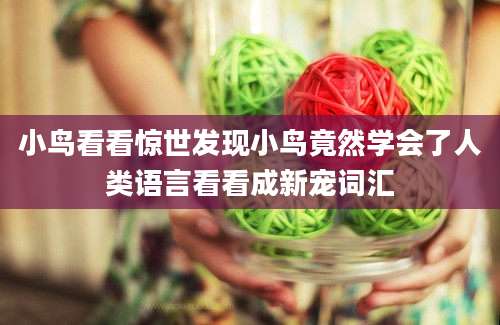 小鸟看看惊世发现小鸟竟然学会了人类语言看看成新宠词汇