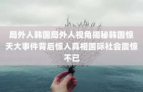 局外人韩国局外人视角揭秘韩国惊天大事件背后惊人真相国际社会震惊不已