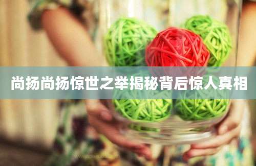 尚扬尚扬惊世之举揭秘背后惊人真相