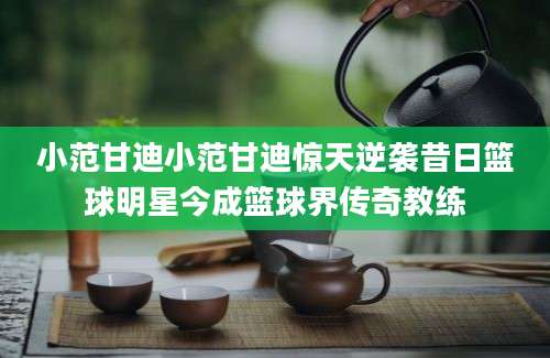 小范甘迪小范甘迪惊天逆袭昔日篮球明星今成篮球界传奇教练