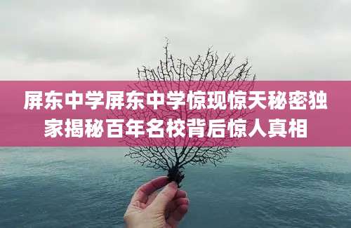 屏东中学屏东中学惊现惊天秘密独家揭秘百年名校背后惊人真相
